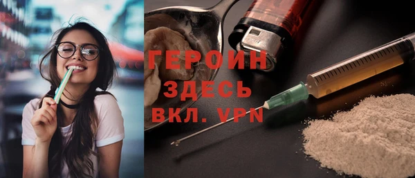 индика Няндома