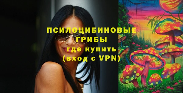 первитин Абинск