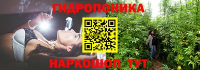 бошки Аргун