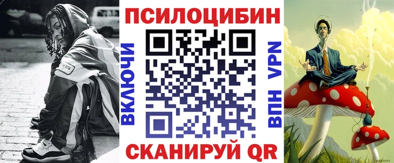 Галлюциногенные грибы Psilocybe  купить наркотики цена  Архангельск 