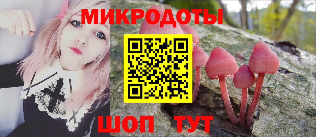 Псилоцибиновые грибы мухоморы Архангельск